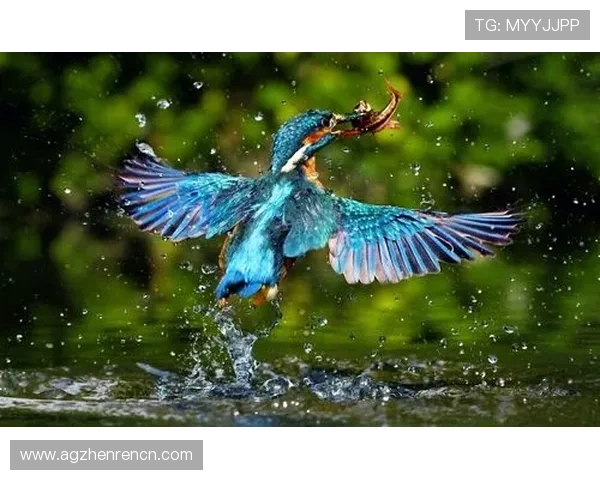 实用ag捕鱼王技巧大全助你成为捕鱼高手的必备秘籍 实用ag捕鱼王技巧大全助你成为捕鱼高手的必备秘籍