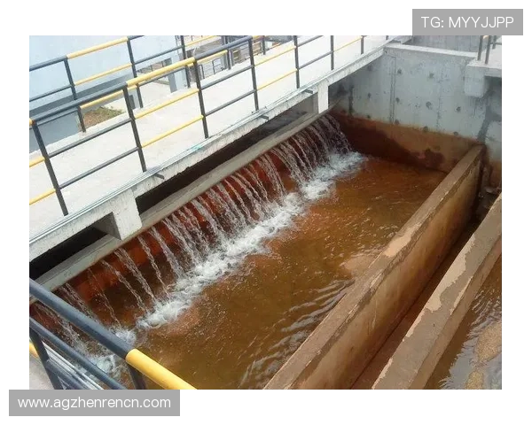 凯发真人集团有限公司：未来发展规划与创新技术应用前景分析